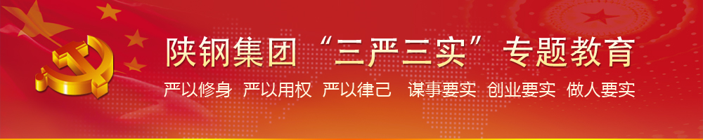龍鋼集團(tuán)“兩學(xué)一做”教育活動專題