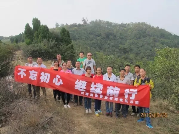 禹宏置業(yè)公司組織開展戶外登山活動 禹宏置業(yè)公司組織開展戶外登山活動