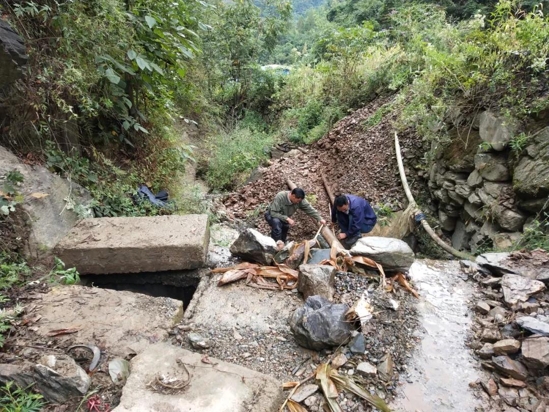做本職、助和諧、促提升