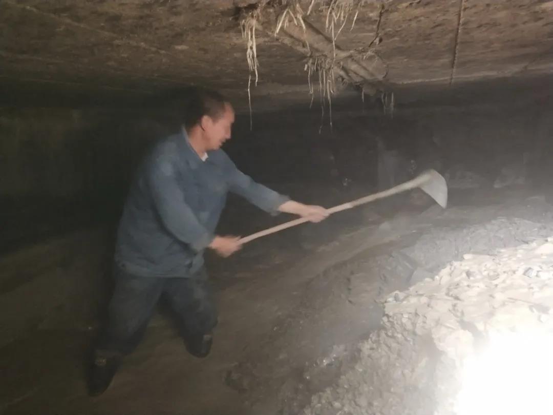 做本職、助和諧、促提升