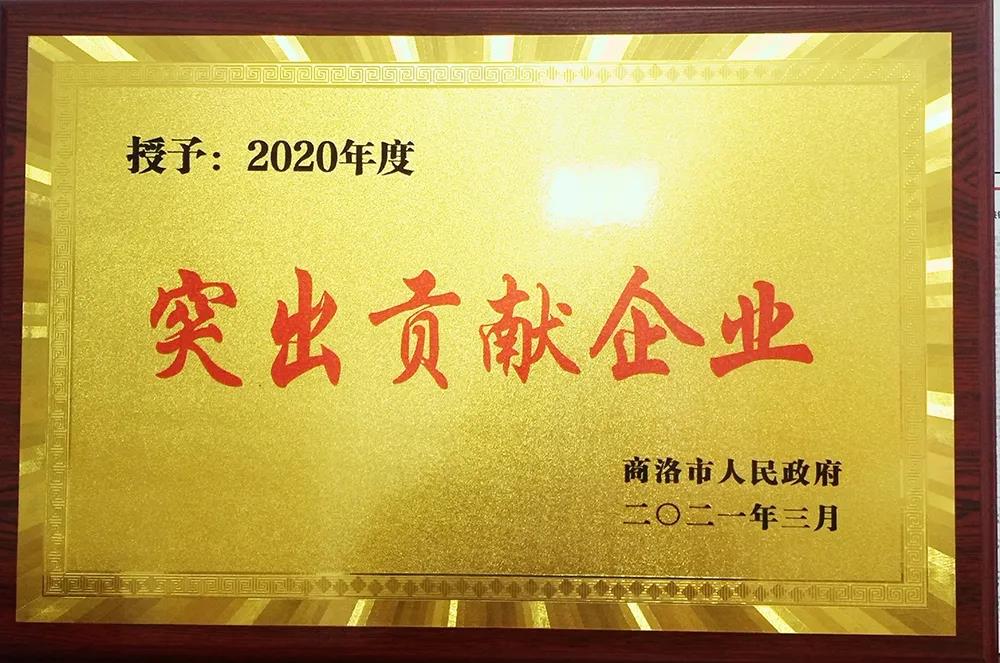 大西溝礦業(yè)公司獲商洛市“2020年度突出貢獻企業(yè)獎”殊榮 大西溝礦業(yè)公司獲商洛市“2020年度突出貢獻企業(yè)獎”殊榮